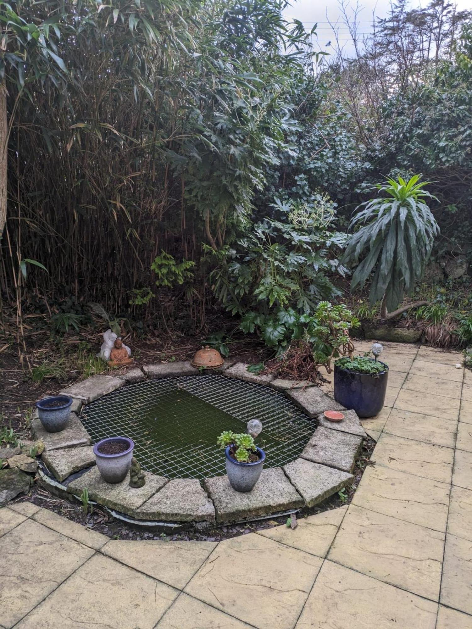 The Garden Apartment St Ives Exterior foto
